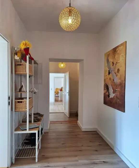 man sieht den Flur nach Betreten des Eingangs. An der rechten Wand hängt ein schönes brau-gelb Ton farbenes Bild von Störchen die frei fliegen